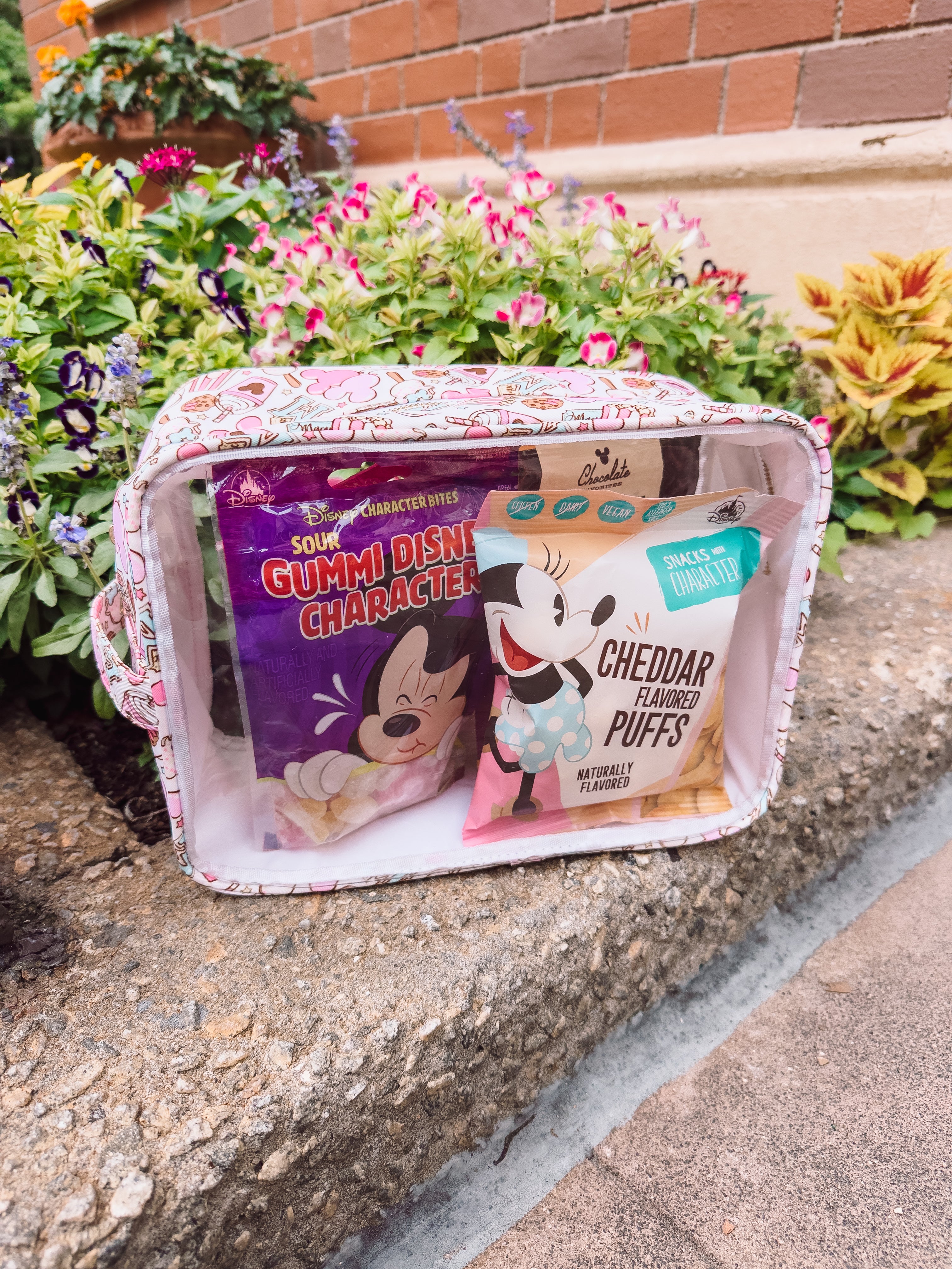 Magical Snack Bag XL Zipper Pouch