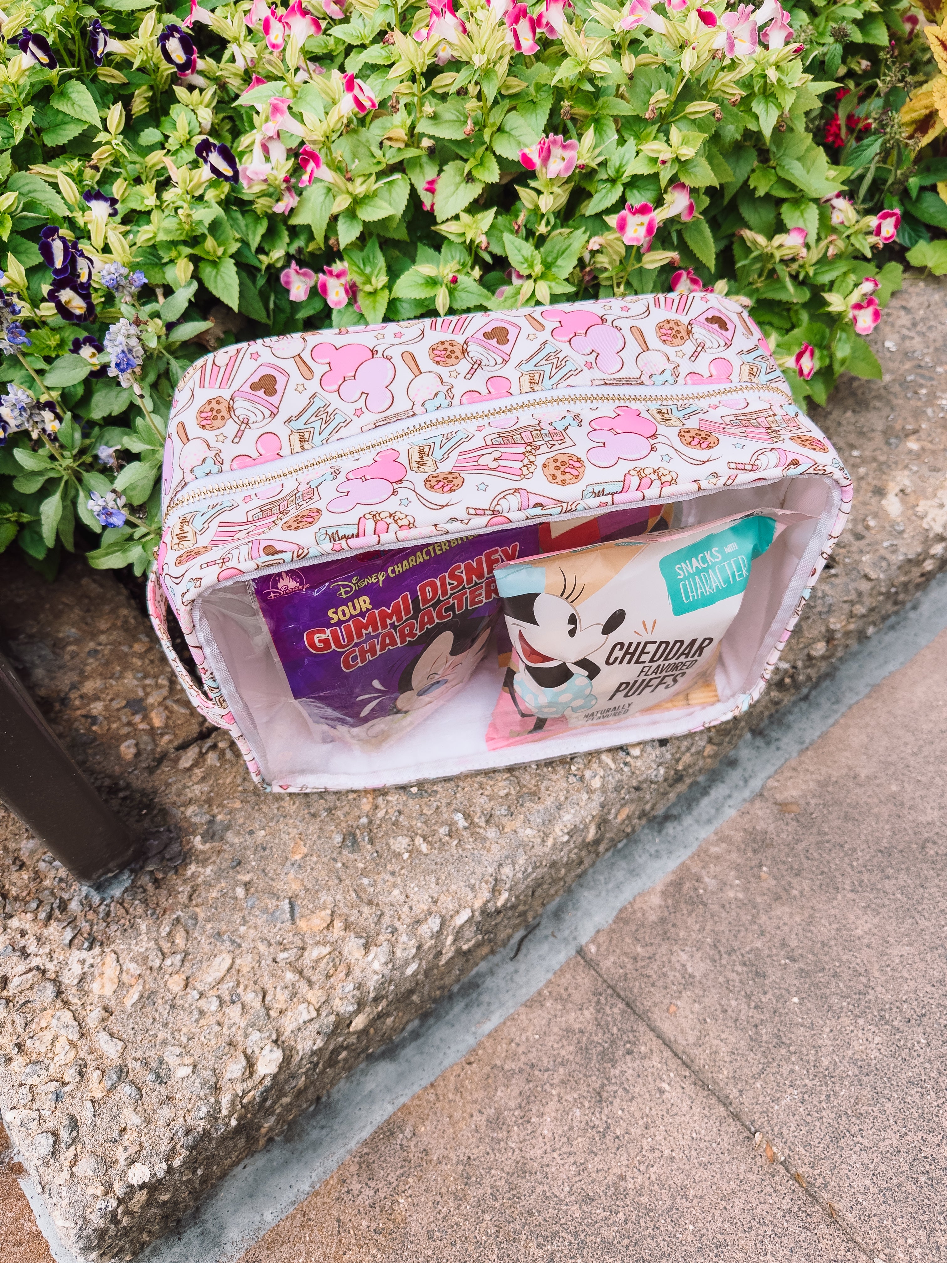 Magical Snack Bag XL Zipper Pouch