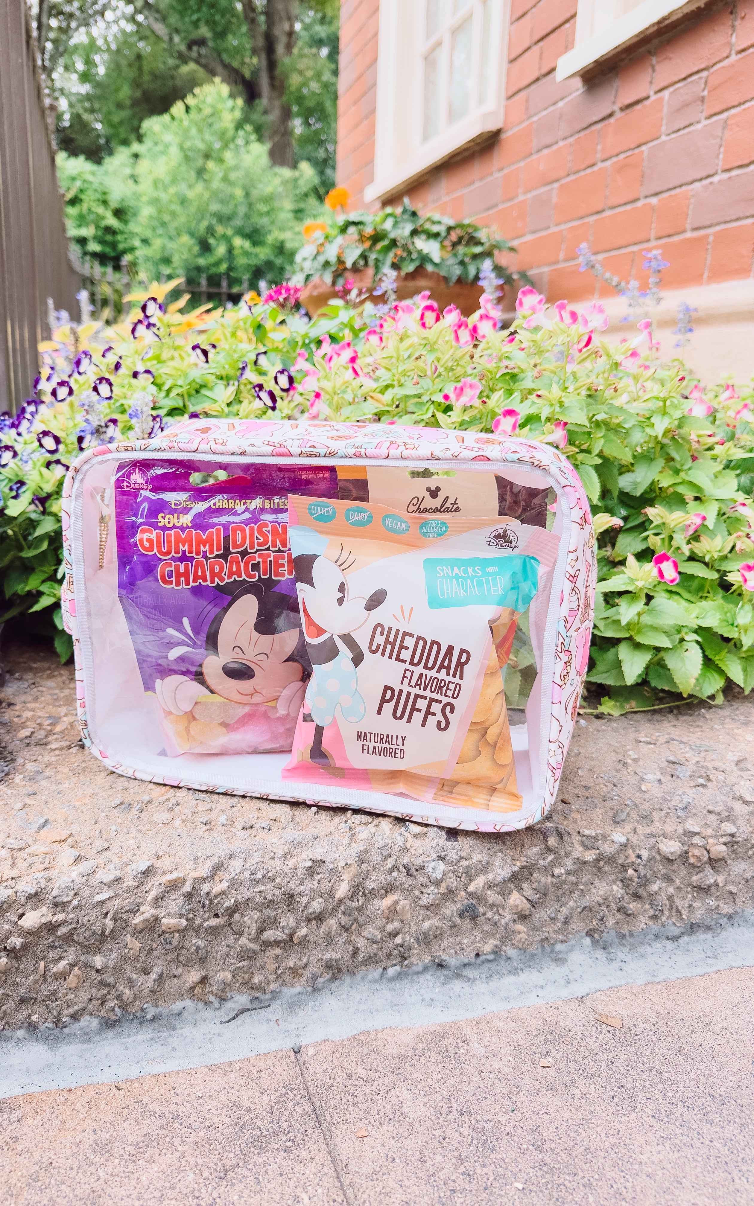 Magical Snack Bag XL Zipper Pouch